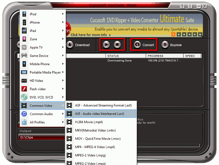 Setting YouTube conversion options Setting YouTube conversion options