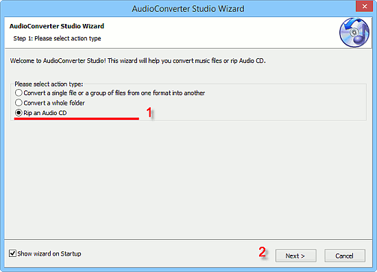 Choose to rip Audio CD
