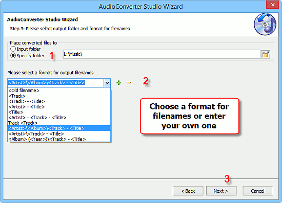 Output folder and filename format