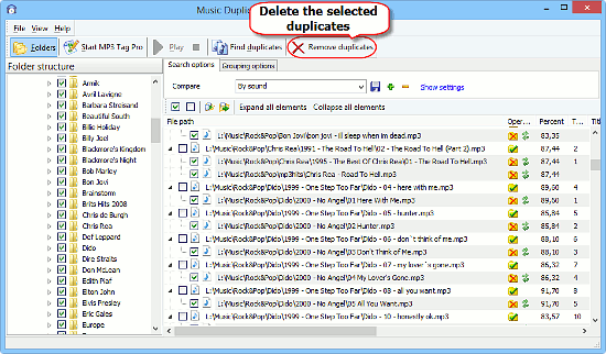 Delete MP3 duplicates