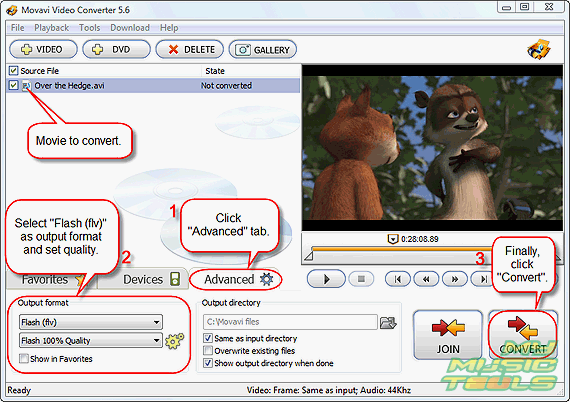 Select Flash as output format and click CONVERT