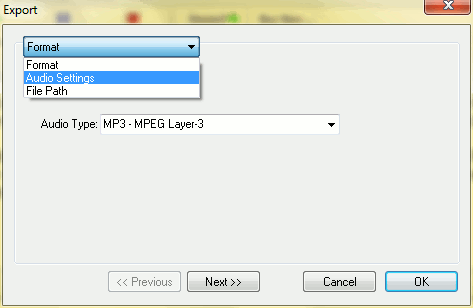Text to speech conversion settings