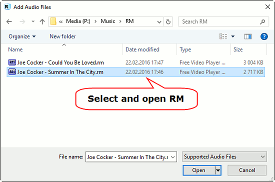 Free Rm Files Converter