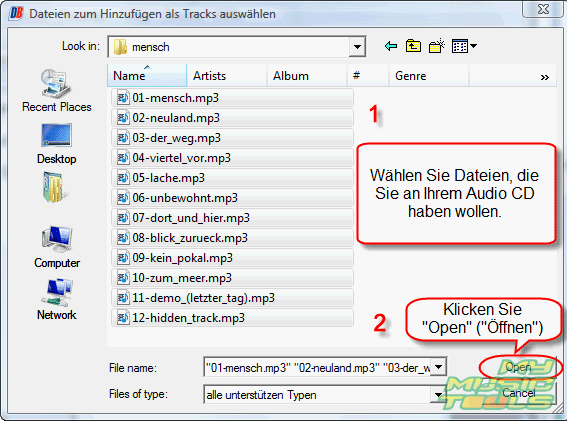 Suchen Sie zu Ihren Dateien durch und whlen die, die Sie brennen wollen