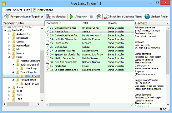 FLAC Liedtexte wurden erfolgreich heruntergeladen