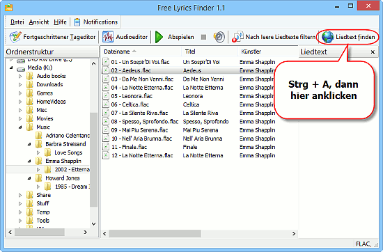 Whlen Sie FLAC Dateien und laden Sie Liedtexte herunter
