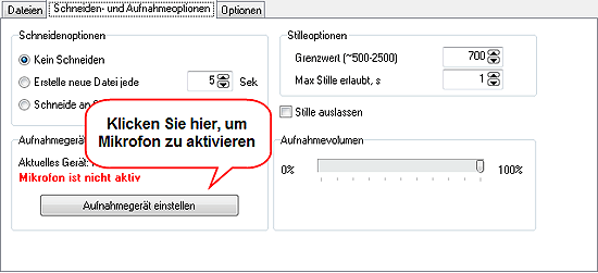 Mikrofon ist nicht aktiv