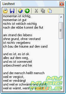 Wie kann ich Liedtexte downloaden? | Lyrics Editor