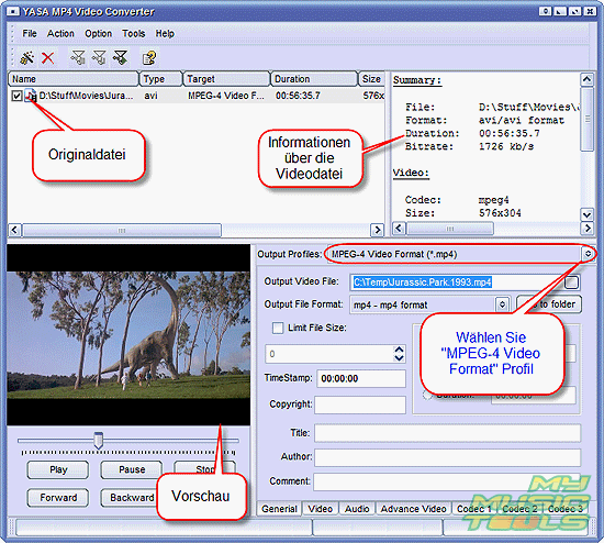 Whlen Sie MPEG-4 Video Format Profil