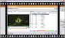 CloneDVD 2 - CloneDVD kopiert Filme, schnell und einfach.